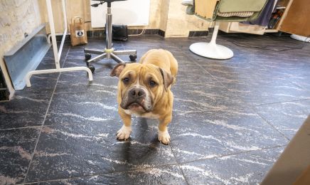 Joakim Coiffeur Barbier  : Coiffeur à Caen