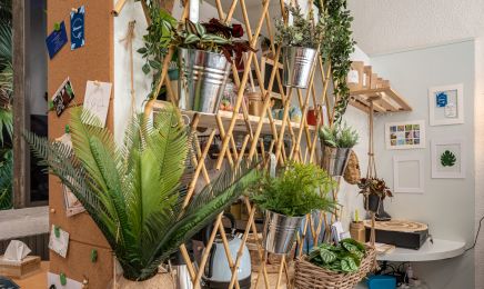 Biomoov : Coiffeur à Limoges