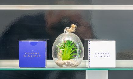 Charlotte Esthétique : Institut de beauté à Rabastens-de-Bigorre