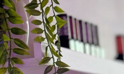 Nails by So : Manucure à Clermont-Ferrand