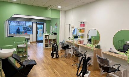 Therese vs les Poux Paris 12 (traitement anti-poux)  : Coiffeur à Paris