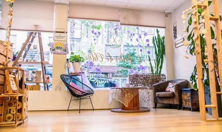 L'Atelier de Chloé : Coiffeur à Sarreguemines
