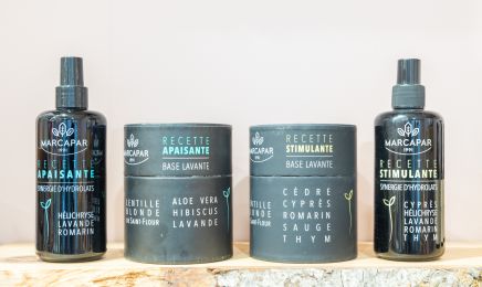 Pur Végétal - Coiffeur au naturel : Coiffeur à Igny