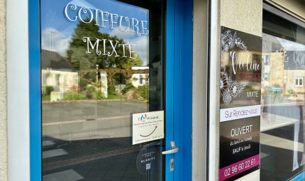 Violine Coiffure : Coiffeur à Plémy