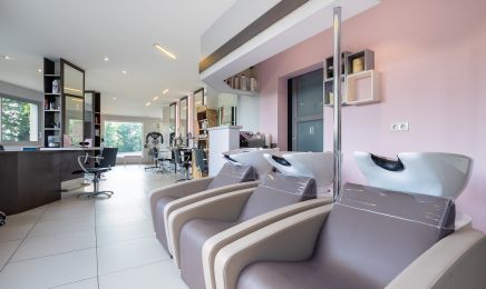 Le cheveu d'ébène : Coiffeur à L'Oie