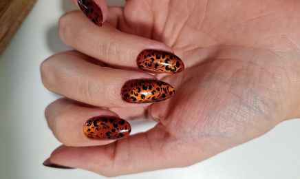 Coquette : Manucure à Arzal