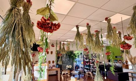 Art Des Sens : Coiffeur à Fronton