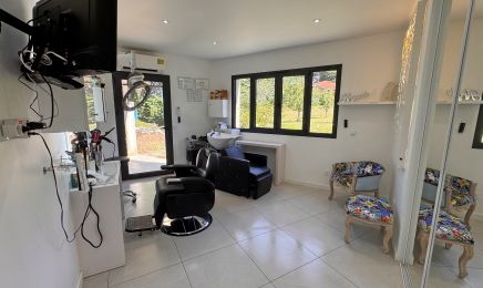 Béa Mothes Visagiste - Coiffeuse  : Coiffeur à Montastruc-la-Conseillère