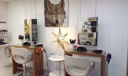 Salon Massimo : Coiffeur à Léguevin