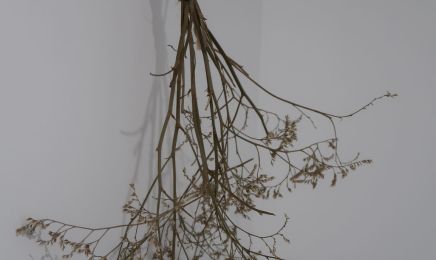 L'Atelier de Christophe : Coiffeur à Talence