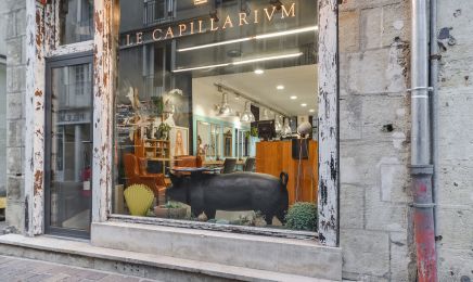 Le capillarium : Coiffeur à Tours