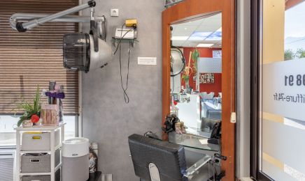 Isatifs  : Coiffeur à Amancy