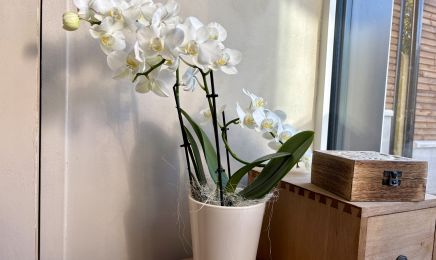 Aux Symphonies de Soi : Coiffeur à Vezin-le-Coquet