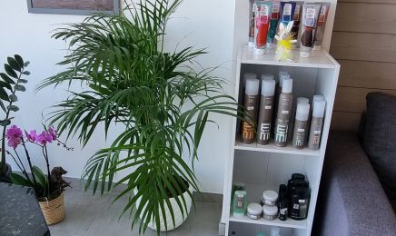 Tendance : Coiffeur à Saint-Pierre-d'Oléron