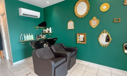 Mademoiselle D  : Barbier à Saint-Alban