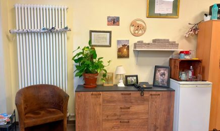 Julias Haarstube: Kosmetikstudio in Langenlonsheim