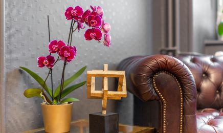 Iris Studio  : Institut de beauté à Strasbourg