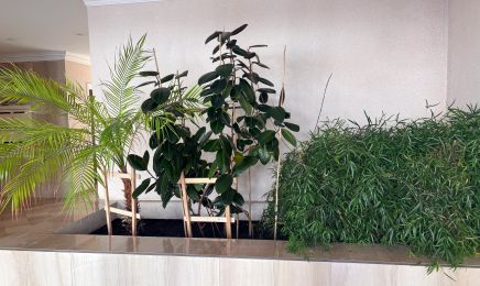 Natur'elle By Irina : Institut de beauté à Saint-Maur-des-Fossés