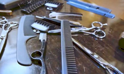 KD'H Graphiste Kapillaire : Coiffeur à Marseille