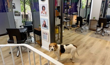 hair & beauty Jenny Knauer: Kosmetikstudio in Hemsbach