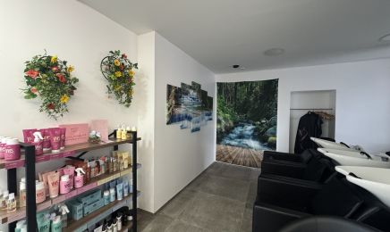 Evolutif coiffure : Coiffeur à Châteauneuf-sur-Loire