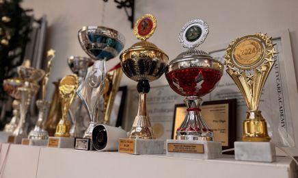 Diamanten Libellen: Tattoo-Künstler in Kiel
