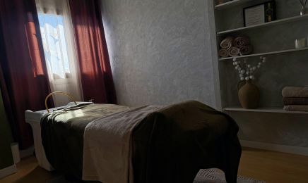 Studio VEVENA : Spa à Tournefeuille