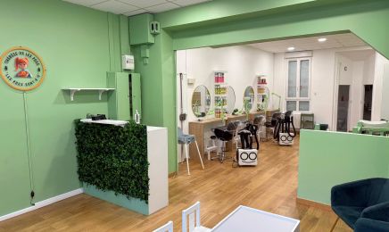 Therese vs les Poux Paris 12 (traitement anti-poux)  : Coiffeur à Paris