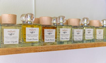 Vert Anis : Manucure à Talmont-Saint-Hilaire