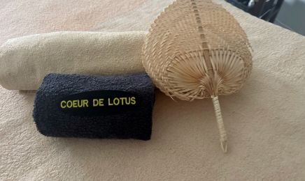 Coeur de Lotus : Spa à Chantepie