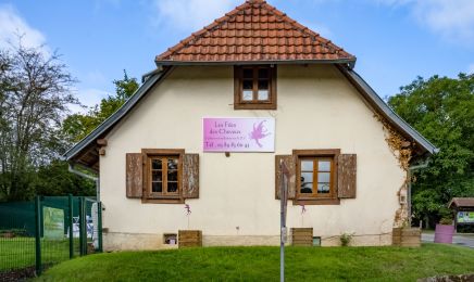 Les Fees Des Cheveux : Coiffeur à Bellemagny