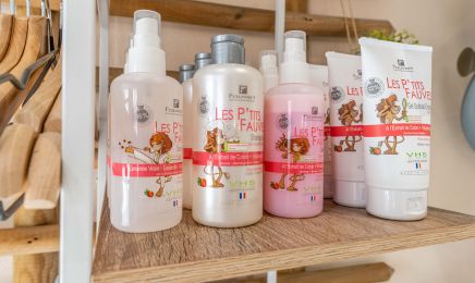2 mèches avec vous : Coiffeur à Le Folgoët