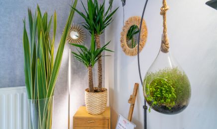 Le jardin de Clo Bassussarry : Manucure à Bassussarry