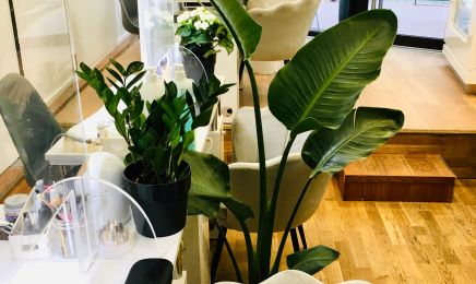 Ongles et Beauté St Georges : Manucure à Toulouse