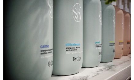 Brindille : Coiffeur à Angers