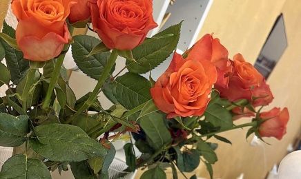 Nagelstudio und Fußpflege by Larisa Rukhmanova: Kosmetikstudio in Dresden