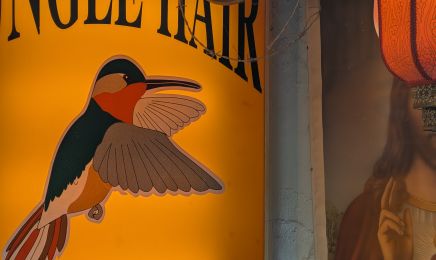 KD'H Graphiste Kapillaire : Coiffeur à Marseille
