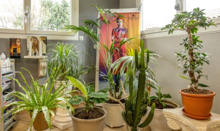 Studio Coiff : Coiffeur à Saint-Paul-de-Jarrat