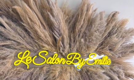 Le salon by Emilie  : Manucure à La Queue-les-Yvelines