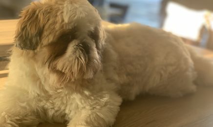 Albres Contades Coiffure : Coiffeur à Strasbourg