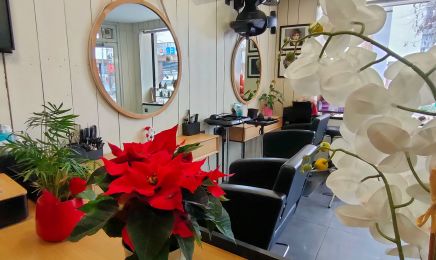 Armany coiffure - Femmes : Coiffeur à Le Mans