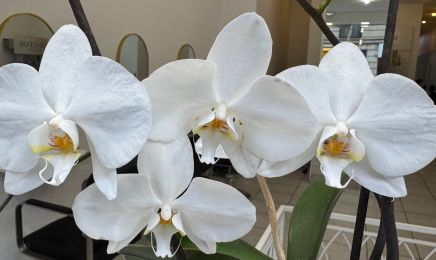 113 Courcelles  : Coiffeur à Paris
