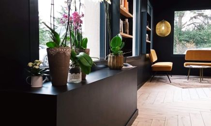Paprika - Hair Spa : Coiffeur à Graulhet