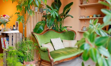 La canopée chez Mélanie : Coiffeur à Voiron