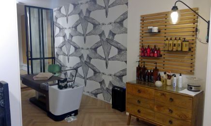 Physae : Barbier à Taninges