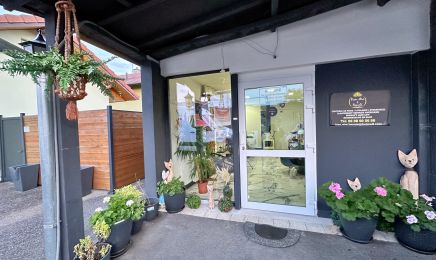 Bien-être & Beauté  : Coiffeur à Morschwiller-le-Bas