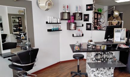 Friseur Creativ Monika Engling: Friseur in Bad Segeberg