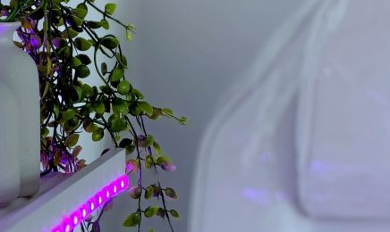 Nails by So : Manucure à Clermont-Ferrand