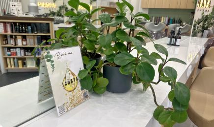 Janaya : Coiffeur à Paris