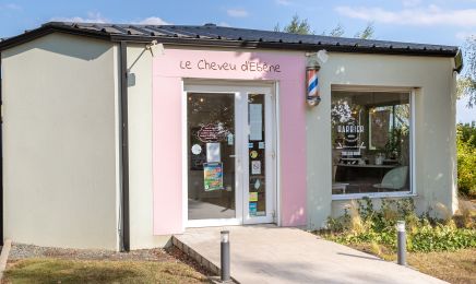 Le cheveu d'ébène : Coiffeur à L'Oie
